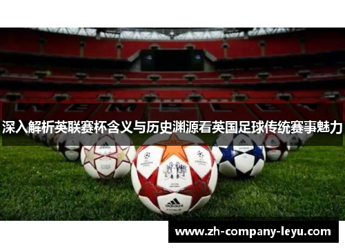 深入解析英联赛杯含义与历史渊源看英国足球传统赛事魅力 深入解析英联赛杯含义与历史渊源看英国足球传统赛事魅力