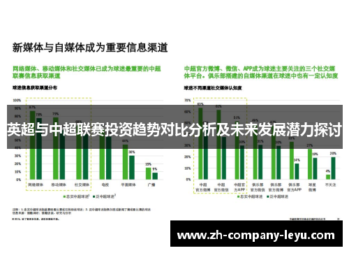 英超与中超联赛投资趋势对比分析及未来发展潜力探讨
