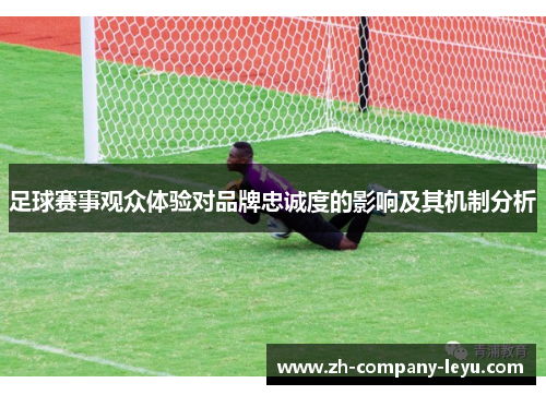 足球赛事观众体验对品牌忠诚度的影响及其机制分析