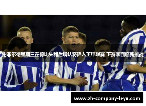 谢菲尔德星期三在德比失利后确认将降入英甲联赛 下赛季面临新挑战 谢菲尔德星期三在德比失利后确认将降入英甲联赛 下赛季面临新挑战