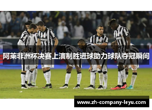 阿莱非洲杯决赛上演制胜进球助力球队夺冠瞬间